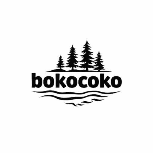 cropped-Flux_Dev_Create_a_logo_for_the_website_bokocoko_with_a_hobbies_3-removebg-preview.png
